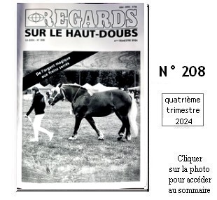 RSHD N° 208